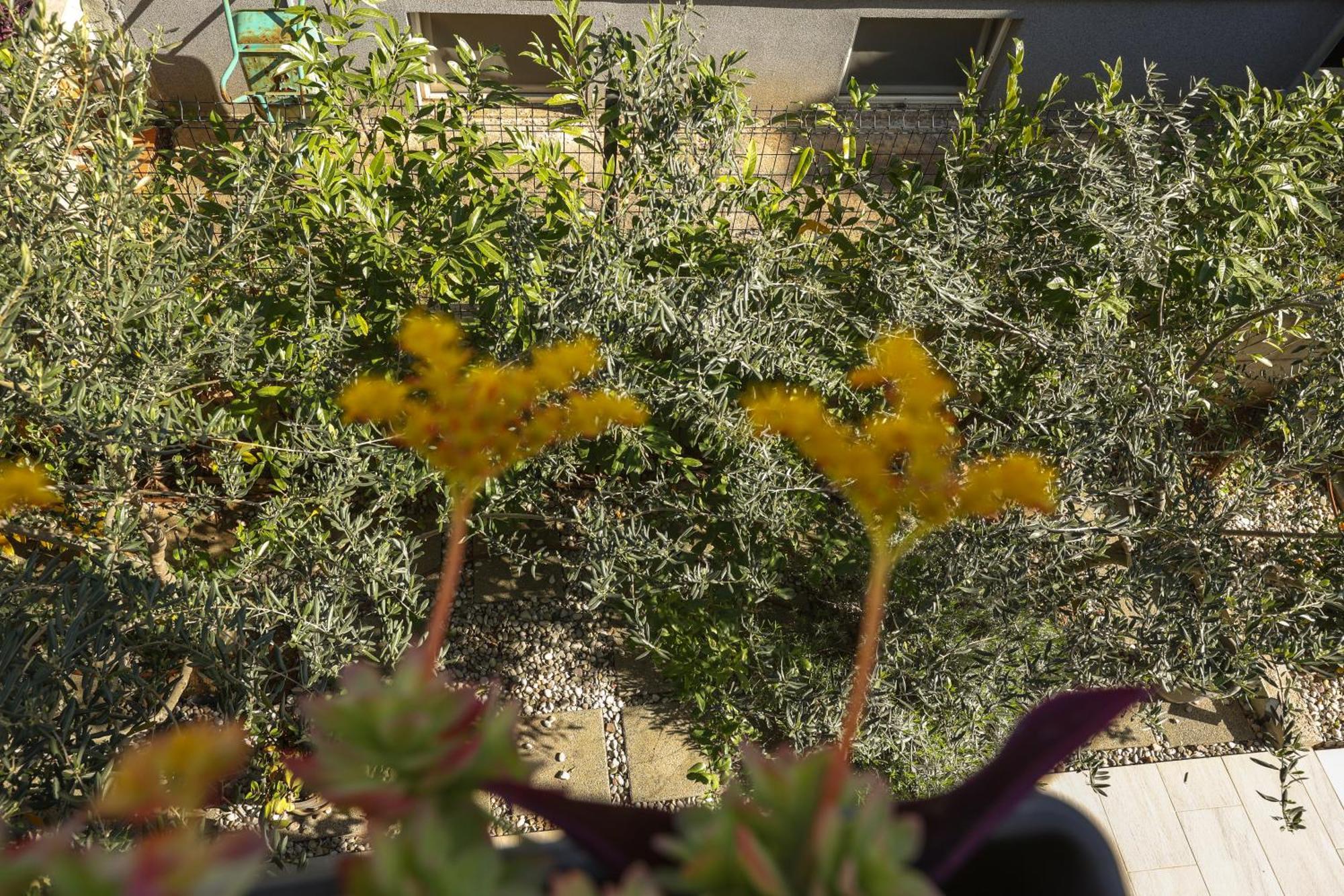 Home Sweet Apartments Ζαντάρ Εξωτερικό φωτογραφία